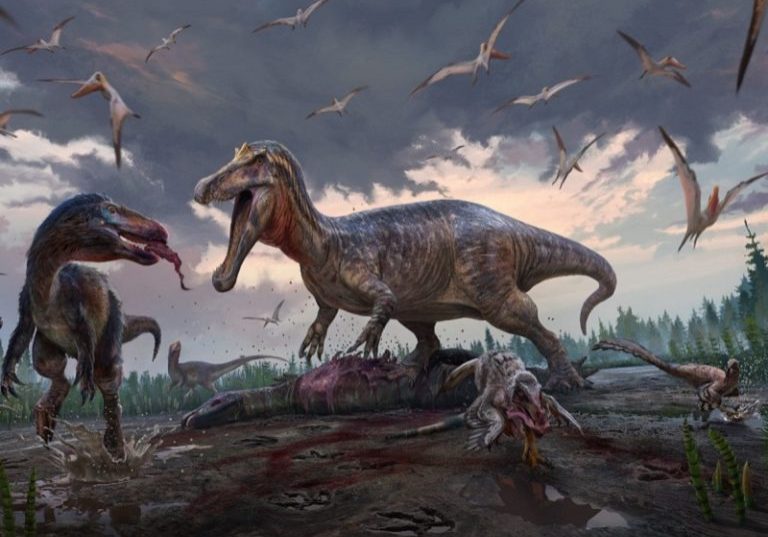 An imagined scene drawn by Anthony Hutchings. Around what is now the 'Bexhill area' but, 135 million years ago: a spinosaur seizes the carcass of an ornithopod, much to the annoyance of the smaller tyrannosaurs and dromaeosaurids.